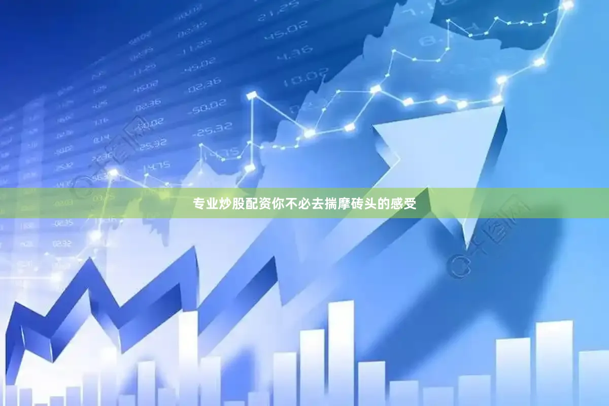 专业炒股配资你不必去揣摩砖头的感受