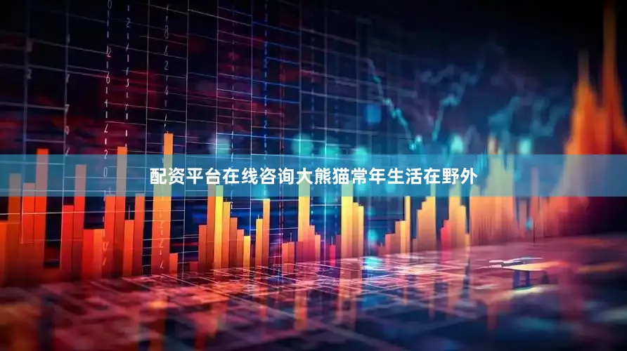 配资平台在线咨询大熊猫常年生活在野外