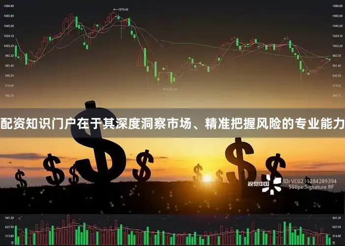 配资知识门户在于其深度洞察市场、精准把握风险的专业能力
