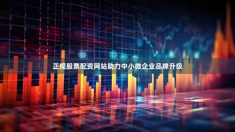 正规股票配资网站助力中小微企业品牌升级