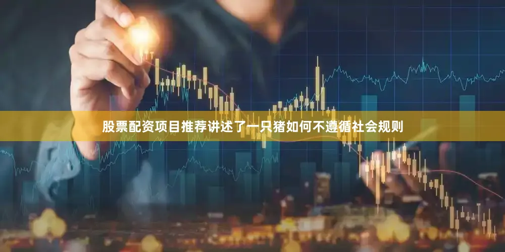 股票配资项目推荐讲述了一只猪如何不遵循社会规则