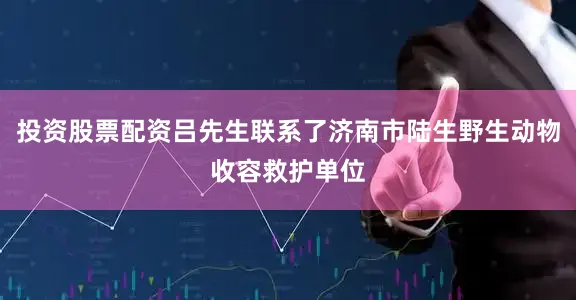 投资股票配资吕先生联系了济南市陆生野生动物收容救护单位